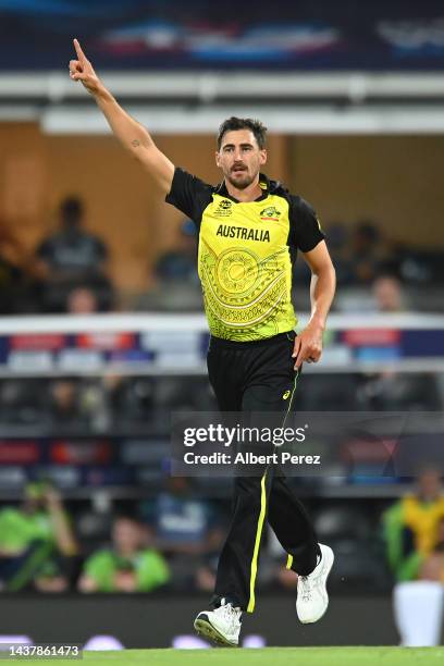 Mitchell Starc of Australia celebrates dismissing George Dockrell of Ireland during the ICC Men's T20 World Cup match between Australia and Ireland...