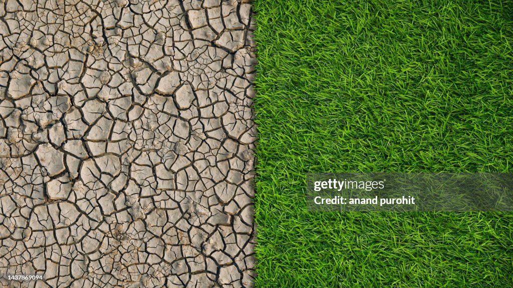 Green Lawn Grass vs Dry Land Environmental Concept