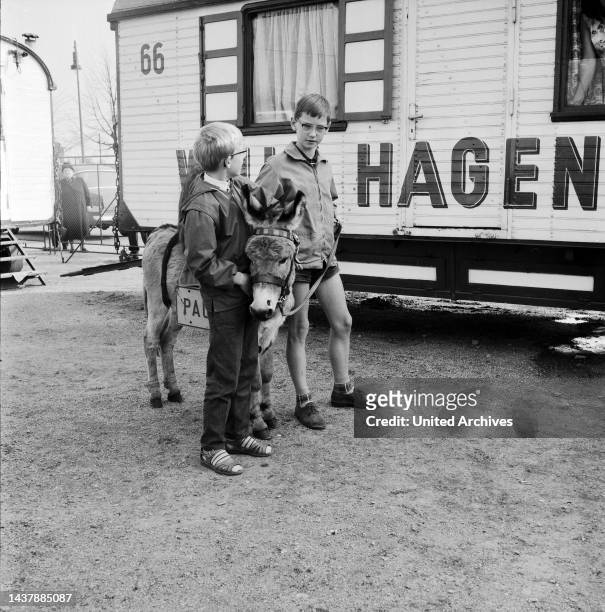 Original-Bildunterschrift: Brandt-Kinder besuchten den Zirkus Hagenbeck - Heute nachmmittag waren die Kinder von Willy Brandt, Peter und Lars, im...