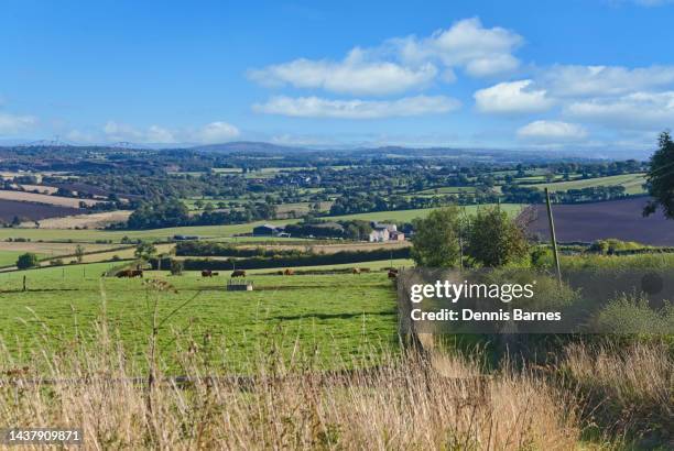 looking over forth valley from beecraigs country park.  near linlithgow, west lothian, scotland, uk - northpark stock pictures, royalty-free photos & images