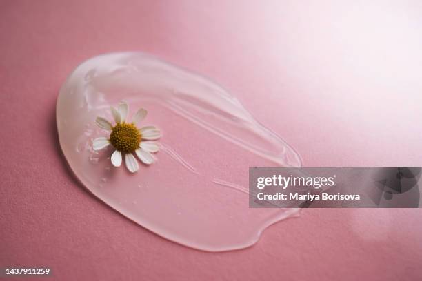 the texture of a white cosmetic cream on a pink background with a calendula flower. - calendula stock-fotos und bilder