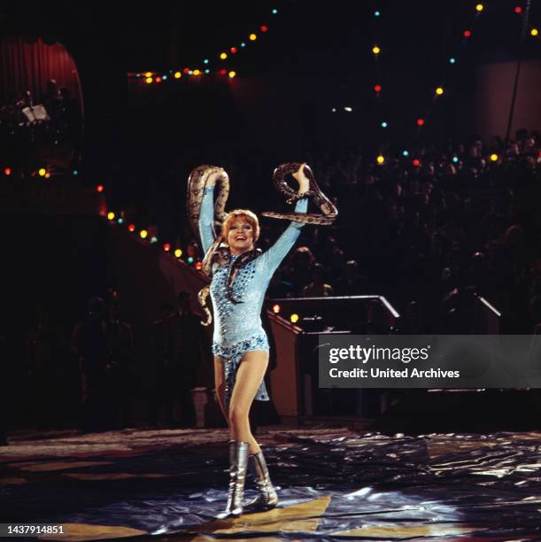 Stars in der Manege, Unterhaltungsshow aus dem Zirkus Krone Bau in München, Deutschland 1973, Mitwirkende: Schauspielerin Nadja Tiller mit Schlange.