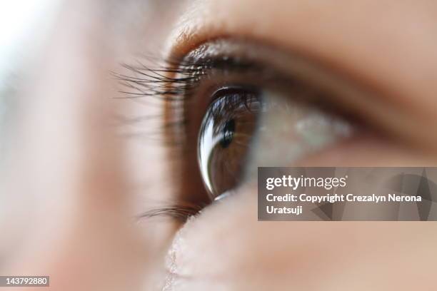 macro shot of human eye - augenlid stock-fotos und bilder
