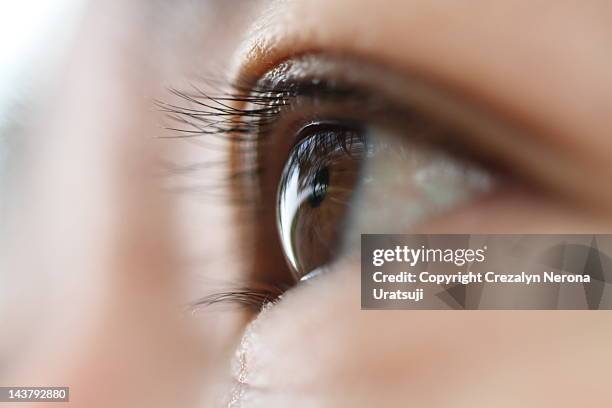 macro shot of human eye - determination asian stock pictures, royalty-free photos & images