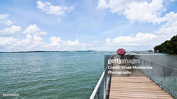 coastal boardwalk in pulau ubin - singapore city people stock pictures, royalty-free photos & images