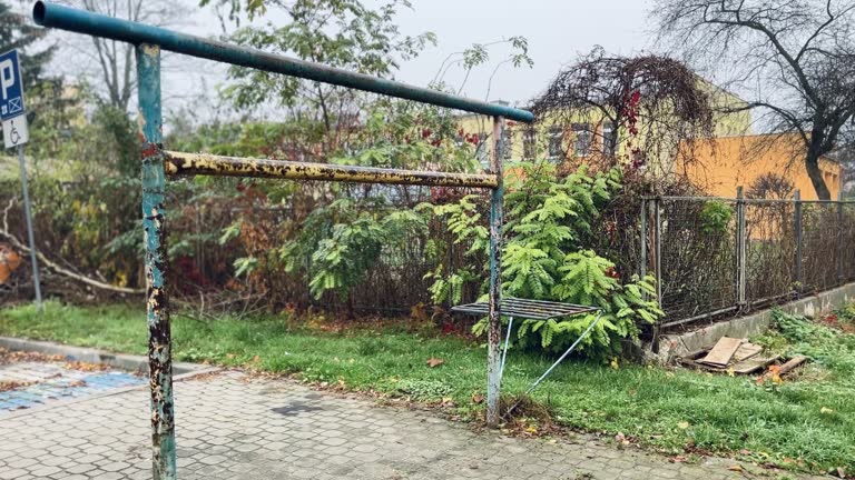 Carpet Beating Videos and HD Footage - Getty Images