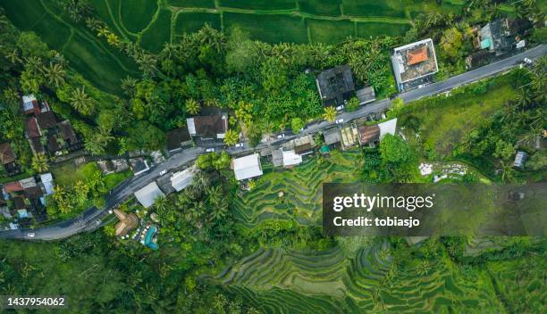 rice terrace in bali indonesia - tegallalang stock pictures, royalty-free photos & images