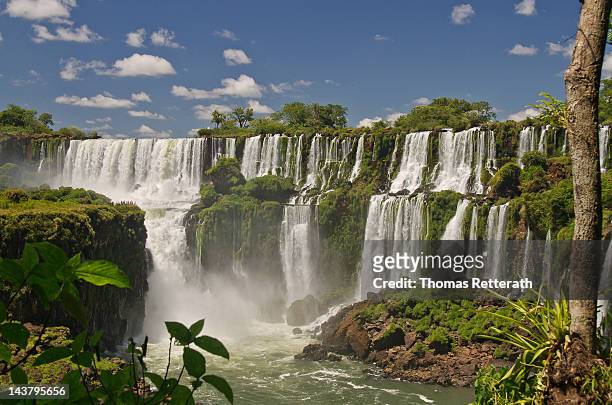 iguassu falls - iguazu falls stock pictures, royalty-free photos & images