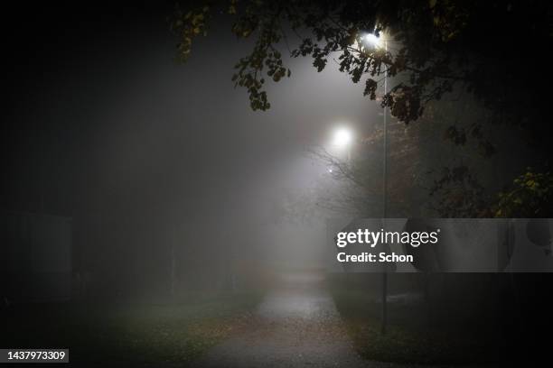 a walkway illuminated by street lights on a foggy autumn evening - street light lamp stock pictures, royalty-free photos & images