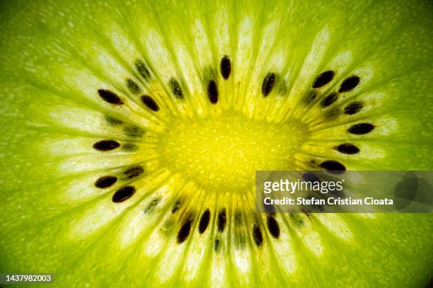 refreshing fruit kiwi slice macro with vibrant colors - saturated colour fotografías e imágenes de stock