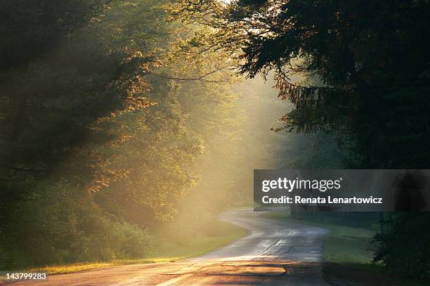 magical place....... - allegany state park stock pictures, royalty-free photos & images