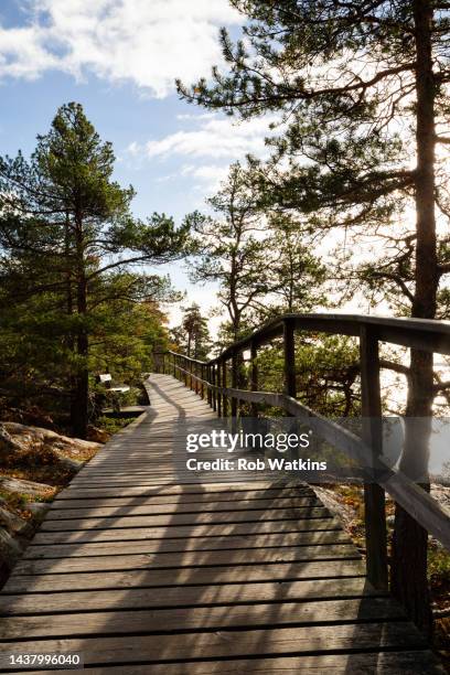 åland archipelago autumn fall stock photo mariehamn seaside  elevated wooden nature walkway - archipelago stock pictures, royalty-free photos & images