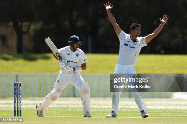 Jason Sangha of the Blues looks on as Wes Agar of the Redbacks unsuccessfully appeals for leg before wicket during the Sheffield Shield match between...