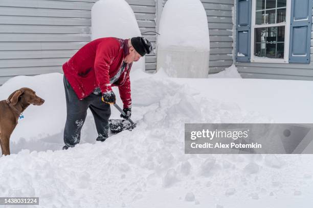 un hombre de la tercera edad limpiando la nieve después de una nevada alrededor de su casa, haciendo un camino a los tanques de propano con el perro acompañado. - pala-parte-de-un-vehículo fotografías e imágenes de stock