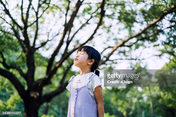 lovely little asian girl breathing fresh air with eyes closed in the nature. enjoying nature with clean air in park. childhood lifestyle. carefree and freedom. connect with the nature concept - fresh air breathing stockfoto's en -beelden