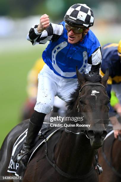 Mark Zahra riding Gold Trip wins race seven, the Lexus Melbourne Cup during 2022 Melbourne Cup Day at Flemington Racecourse on November 01, 2022 in...