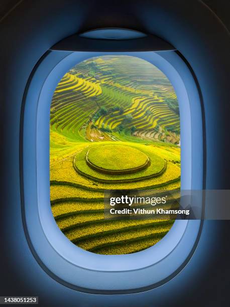 airplane windows with aerial view of rice field at vietnam. - hublot photos et images de collection