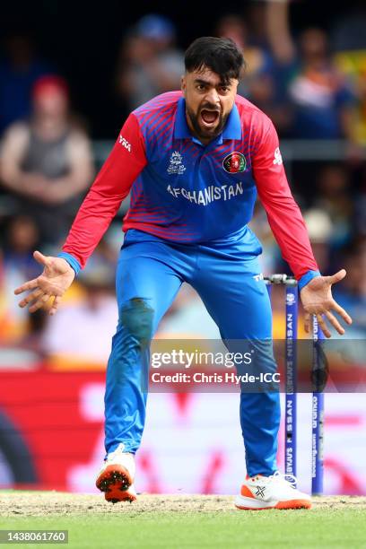 Rashid Khan of Afghanistan reacts during the ICC Men's T20 World Cup match between Afghanistan and Sri Lanka at The Gabba on November 01, 2022 in...