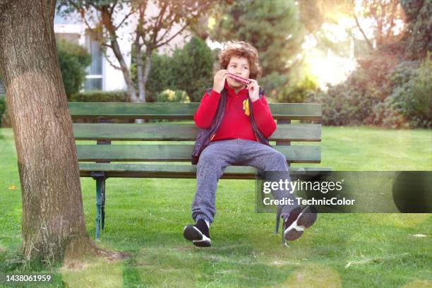 little boy plays the harmonica on a wooden seat - flauta imagens e fotografias de stock
