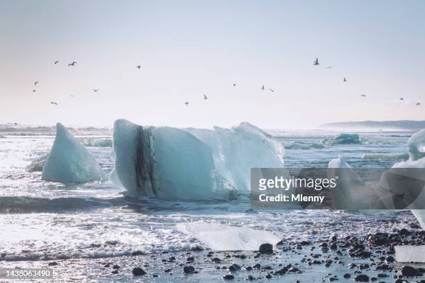 氷山 アイスランド ヨークルスアゥルロゥン ダイヤモンドビーチ 冬 ヨークルスアゥルロゥン ブラックビーチ - jokulsarlon lagoon ストックフォト��と画像