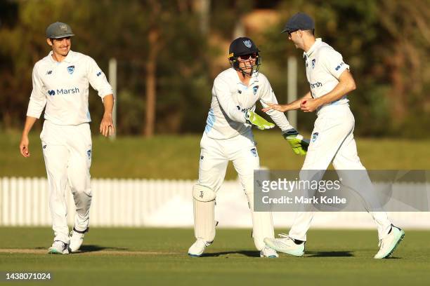 Sean Abbott, Baxter Holt and Kurtis Patterson of the Blues celebrate Kurtis Patterson taking the catch to dismiss Jake Weatherald of the Redbacks...