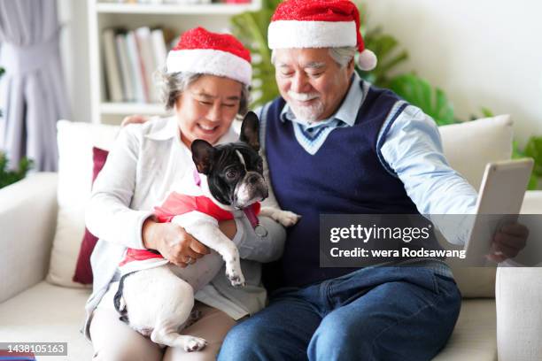 family enjoying selfie photography while celebrate christmas event - festival of remembrance 2019 stock pictures, royalty-free photos & images