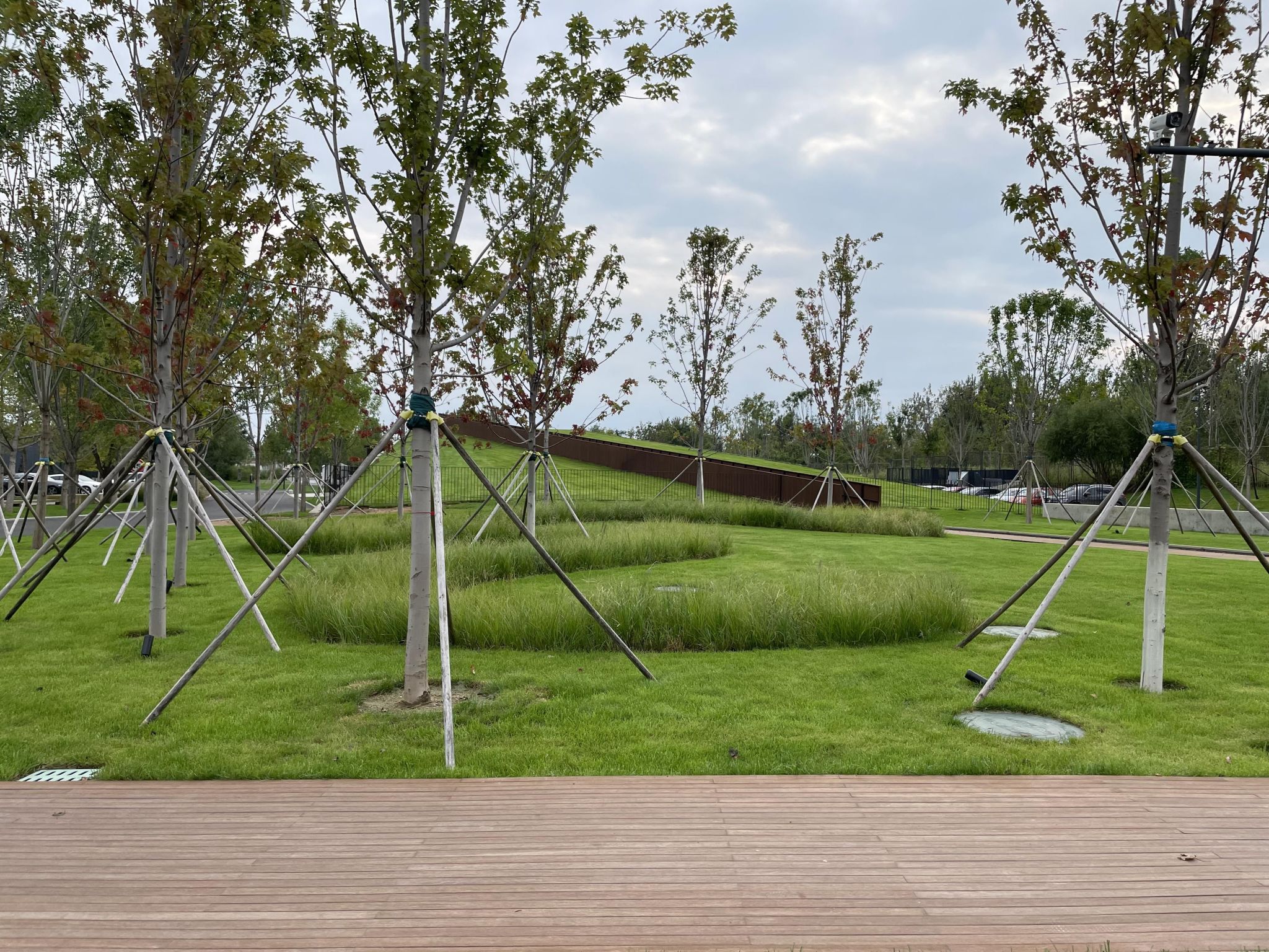 green sculpture park