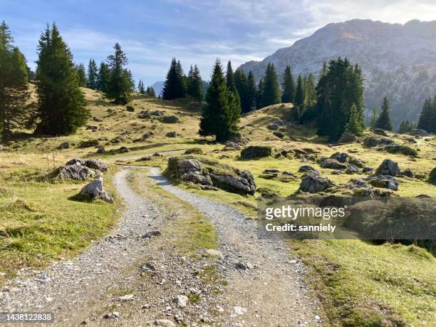 swiss - canton of bern - seebergsee - bioreserve stock pictures, royalty-free photos & images