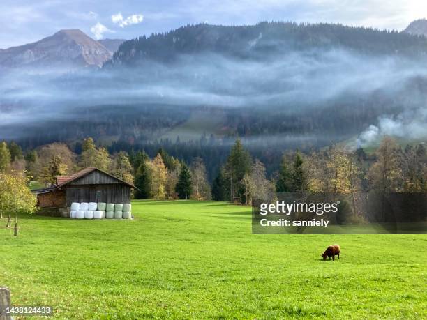 swiss - canton of bern - aeschi bei spiez village - czech republic mountains stock pictures, royalty-free photos & images