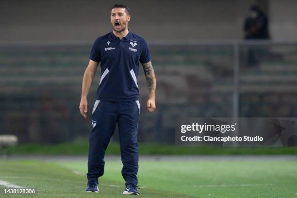 Salvatore Bocchetti, Head Coach of Hellas Verona FC reacts during the Serie A match between Hellas Verona and AS Roma at Stadio Marcantonio Bentegodi...