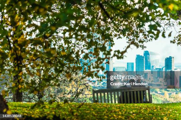 an unrecognisable couple watch the city skyline from a park bench - ハムステッド ストックフォトと画像