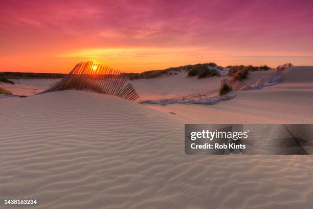 sunset in westduinpark near kijkduin, the hague - marram grass stock pictures, royalty-free photos & images