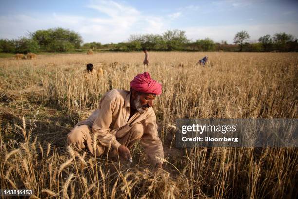 6,901 Punjab Village Photos and Premium High Res Pictures - Getty Images 6,901 Punjab Village Photos and Premium High Res Pictures - Getty Images