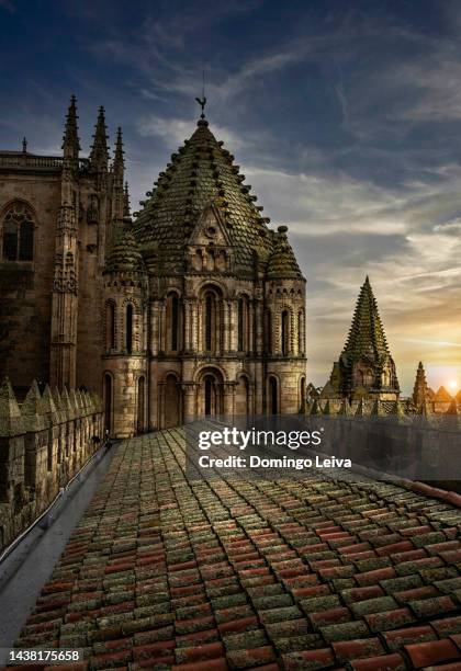 old cathedral, salamanca,  castile and leon, spain - salamanca stock pictures, royalty-free photos & images