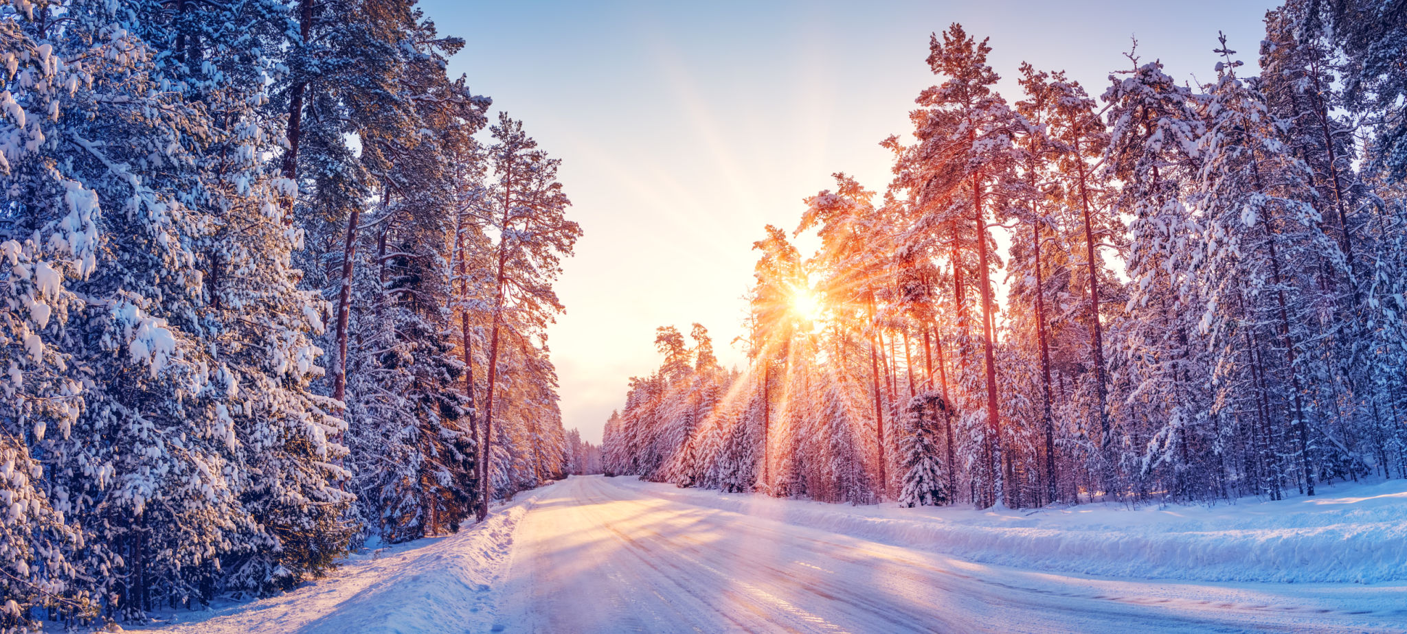 Estonia landscape