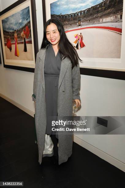 Edeline Lee attends the opening reception of "If Only These Walls Could Talk" Exhibition at Alon Zakaim Fine Art, Cork Street, on November 1, 2022 in...