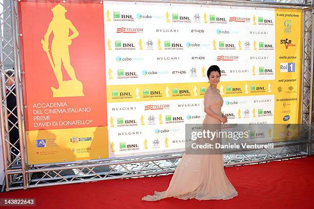 Zhao Tao attends the '2012 Premi David di Donatello' movie awards at the Auditorium Conciliazione on May 4, 2012 in Rome, Italy.