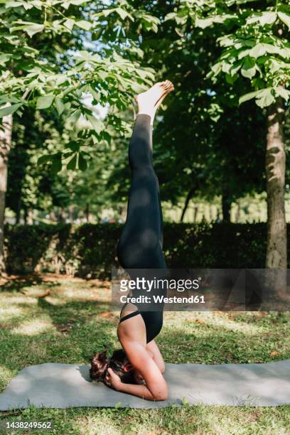 yoga teacher practicing salamba shirshasana posture in park - shirshasana stock pictures, royalty-free photos & images
