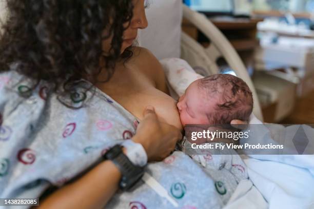 bebé recién nacido amamantando en el hospital - estrelas de natal fotografías e imágenes de stock