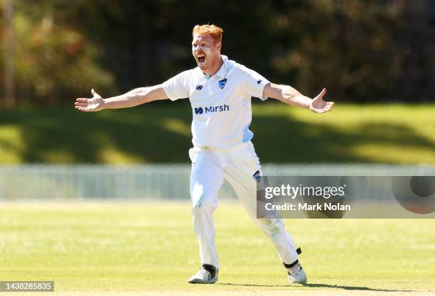 Liam Hatcher of NSW appeals for a wicket during the Sheffield Shield match between New South Wales and South Australia at North Dalton Park, on...