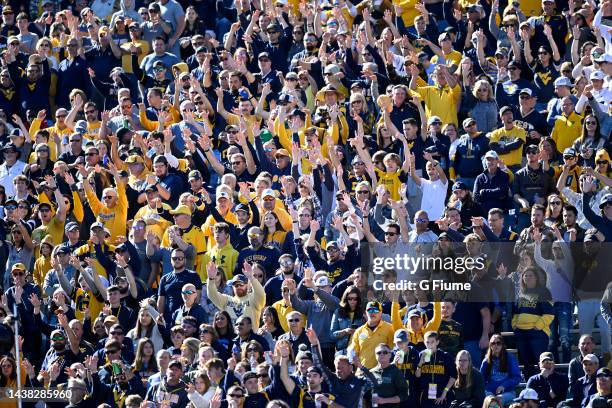 West Virginia Mountaineers fans cheer during the game against the TCU Horned Frogs at Mountaineer Field on October 29, 2022 in Morgantown, West...