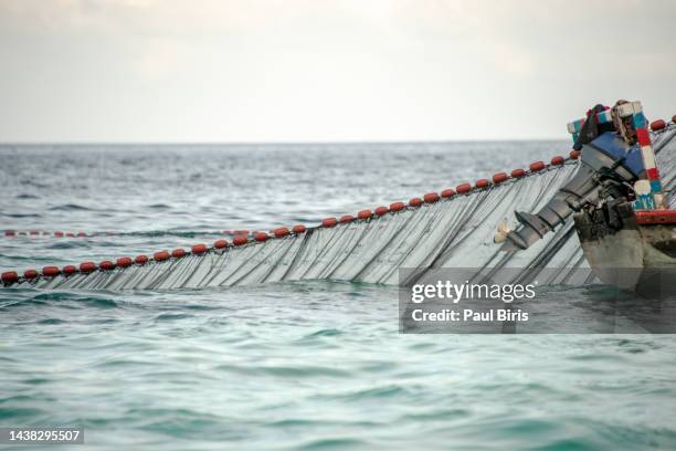 fishing net being picking up during a fishing operation, zanzibar, tanzania - tonno-dalla-pinna-blù foto e immagini stock