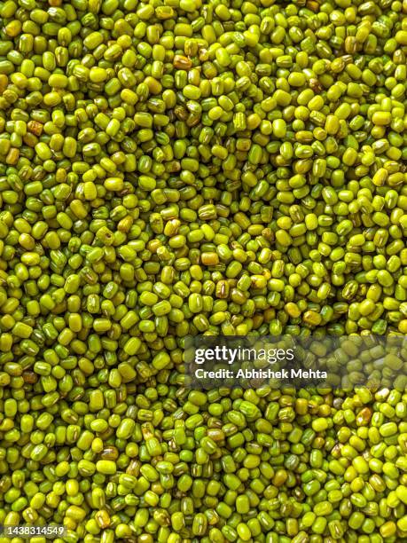 green gram - green gram fotografías e imágenes de stock