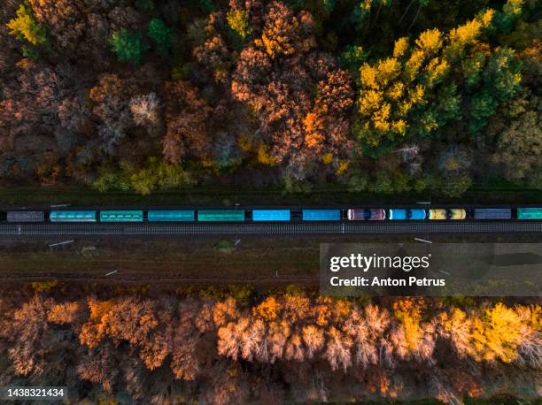 aerial view of a freight train at dawn in autumn. railroad transportation - boxcar stock pictures, royalty-free photos & images
