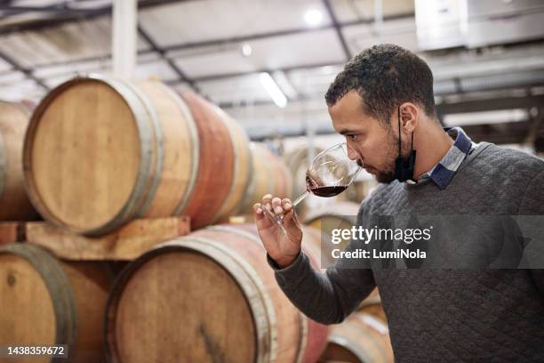 mann, weinfässer und glas auf einem weinberg riechen, testen oder probieren alkohol für die produktion im einzelhandel. männlicher angestellter in einem weingut, einer fabrik oder einer industrie, der den qualitätsgeschmack des getränks überprüft - chef smelling food stock-fotos und bilder