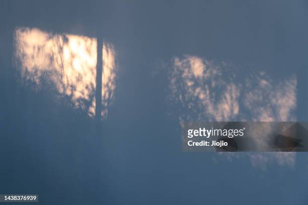 tree shadow on the wall - window sunlight stock-fotos und bilder