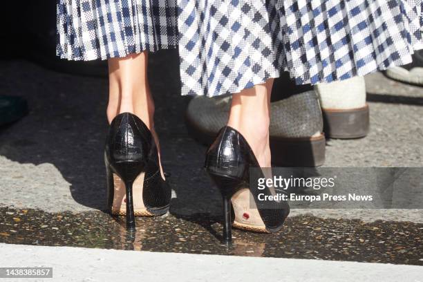 Queen Letizia's shoes as she leaves the 22nd edition of the 'Festival de Cine Opera Prima Ciudad de Tudela', at the Cine Moncayo, on 02 November,...