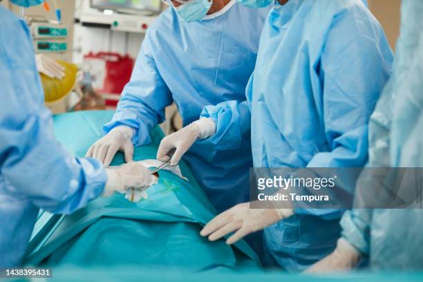 close-up of surgical hands working on a patient during an operation - forceps stock pictures, royalty-free photos & images