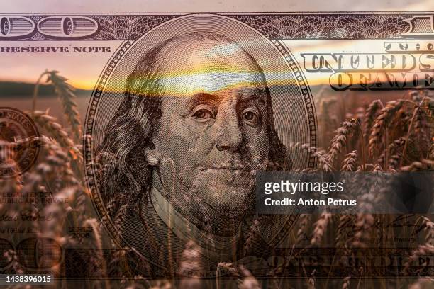 wheat on the background of a 100 dollar bill - 100 dollar bill wallpaper stock-fotos und bilder