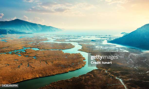 luftaufnahme des dalyan-deltas - flussdelta stock-fotos und bilder